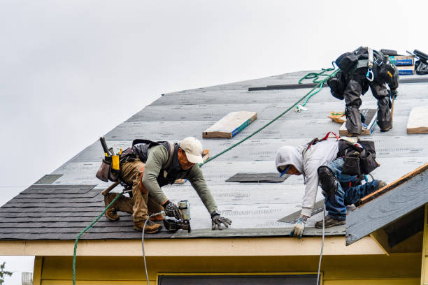 Professional Gutter Installation technician working in Morgantown, KY